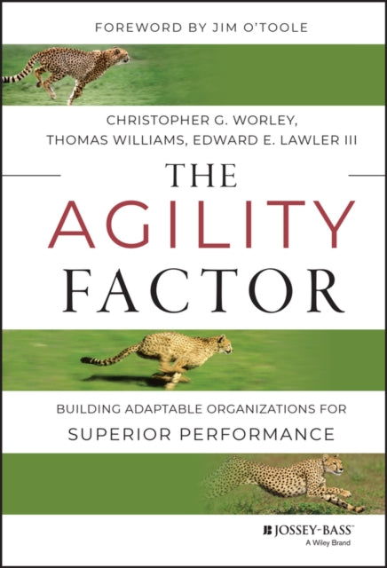 Book cover of: Agility Factor