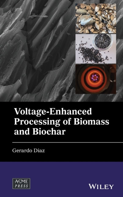 Book cover of: Voltage-Enhanced Processing of Biomass and Biochar. By: Gerardo Diaz