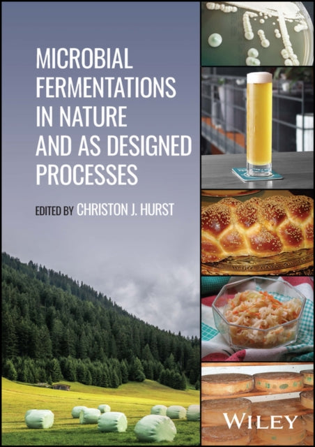 Book cover of: Microbial Fermentations in Nature and as Designed Processes. By: Christon J. Hurst