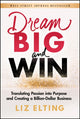 Book cover of: Dream Big and Win. By: Liz Elting