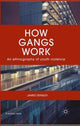 Book cover of: How Gangs Work. By: J. Densley