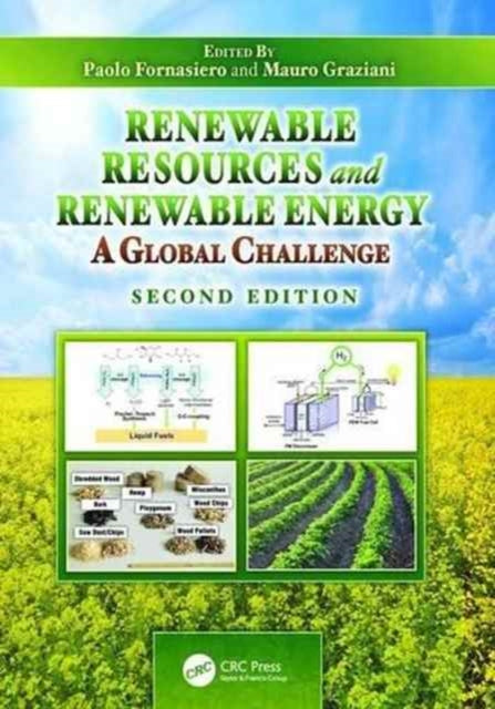 Book cover of: Renewable Resources and Renewable Energy. By: Paolo Fornasiero