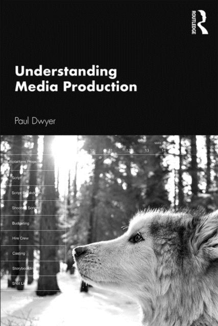 Book cover of: Understanding Media Production. By: Paul Dwyer