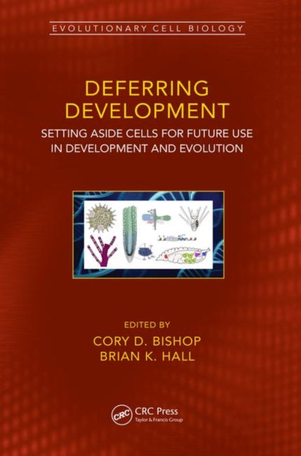 Book cover of: Deferring Development. By: Cory Douglas Bishop