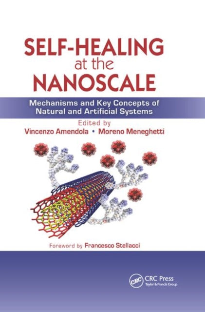 Book cover of: Self-Healing at the Nanoscale. By: Vincenzo Amendola