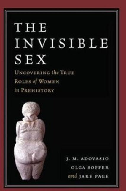 Book cover of: Invisible Sex. By: J. M. Adovasio