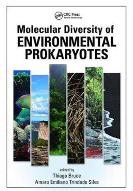 Book cover of: Molecular Diversity of Environmental Prokaryotes. By: Thiago Bruce Rodrigues