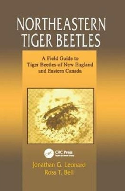 Book cover of: Northeastern Tiger Beetles. By: Jonathan G. Leonard