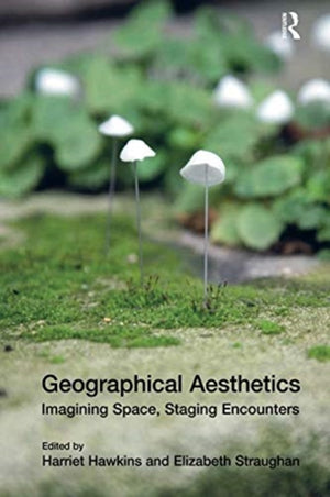 Geographical Aesthetics