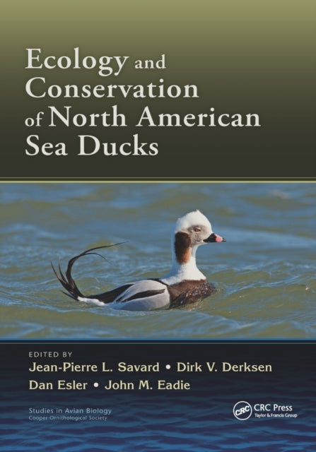 Book cover of: Ecology and Conservation of North American Sea Ducks. By: Jean-Pierre L. Savard