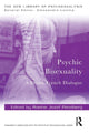 Book cover of: Psychic Bisexuality. By: Rosine Jozef Perelberg