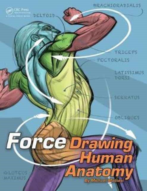 Book cover of: FORCE: Drawing Human Anatomy. By: Michael D. Mattesi