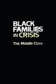 Book cover of: Black Families In Crisis