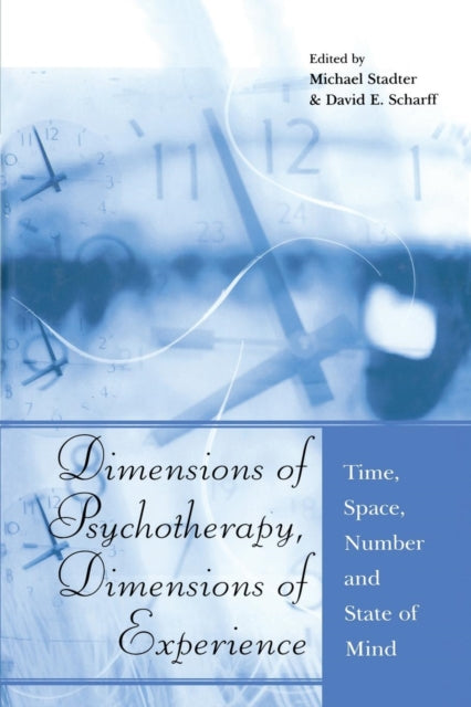 Book cover of: Dimensions of Psychotherapy, Dimensions of Experience. By: Michael Stadter