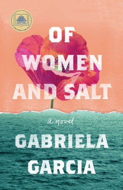 Book cover of: Of Women and Salt. By: Gabriela Garcia