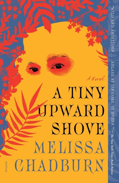 Book cover of: Tiny Upward Shove. By: Melissa Chadburn