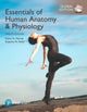 Book cover of: Essentials of Human Anatomy & Physiology plus Pearson Modified Mastering Anatomy & Physiology with Pearson eText, Global Edition. By: Elaine Marieb