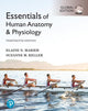 Book cover of: Essentials of Human Anatomy & Physiology, Global Edition + Mastering A&P with Pearson eText. By: Elaine Marieb