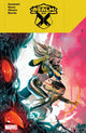 Book cover of: Realm of X. By: Torunn Gronbekk