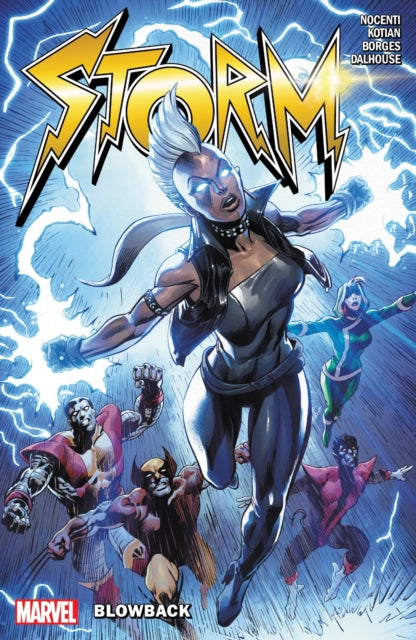 Book cover of: Storm: Blowback. By: Ann Nocenti