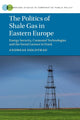 Book cover of: Politics of Shale Gas in Eastern Europe. By: Andreas Goldthau