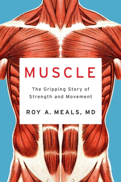 Book cover of: Muscle. By: Roy A. Meals