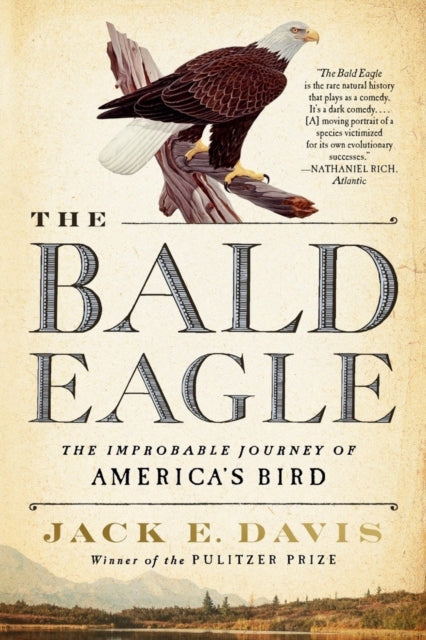 Book cover of: Bald Eagle. By: Jack E. Davis