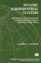 Book cover of: Dynamic Agroindustrial Clusters. By: Gabriel Casaburi