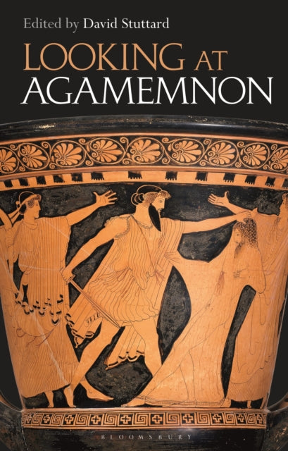 Book cover of: Looking at Agamemnon. By: David Stuttard