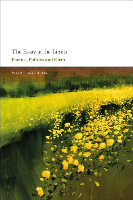 Book cover of: Essay At the Limits. By: Mario Aquilina