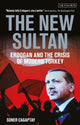 Book cover of: New Sultan. By: Soner Cagaptay