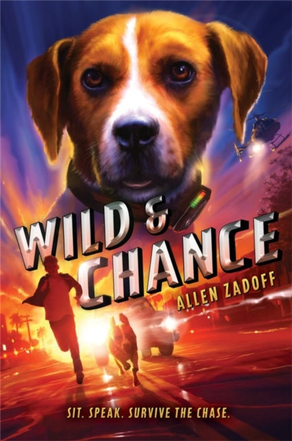 Book cover of: Wild & Chance. By: Allen Zadoff