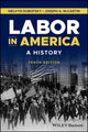 Book cover of: Labor in America