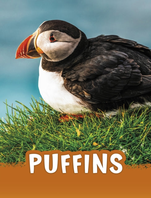 Book cover of: Puffins. By: Jaclyn Jaycox