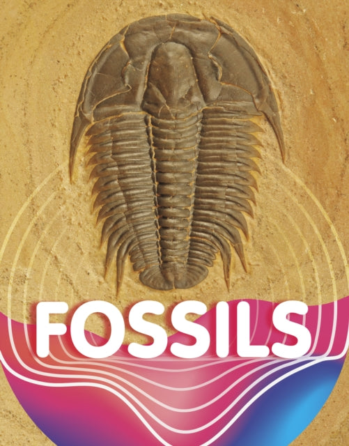 Book cover of: Fossils. By: Keli Sipperley