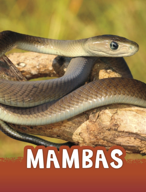 Book cover of: Mambas. By: Jaclyn Jaycox