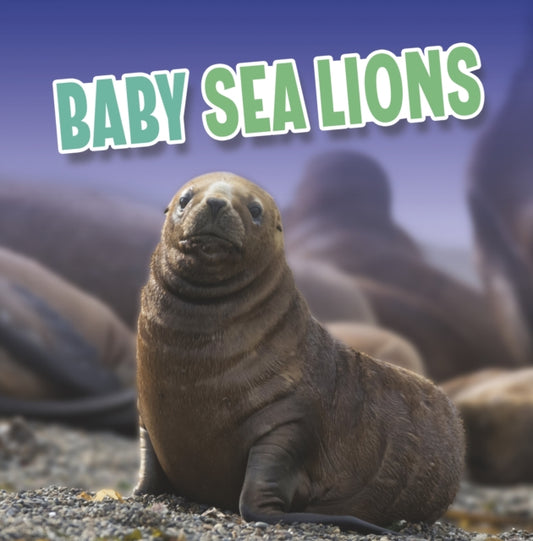 Book cover of: Baby Sea Lions. By: Martha E. H. Rustad