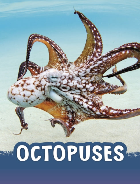 Book cover of: Octopuses. By: Jaclyn Jaycox