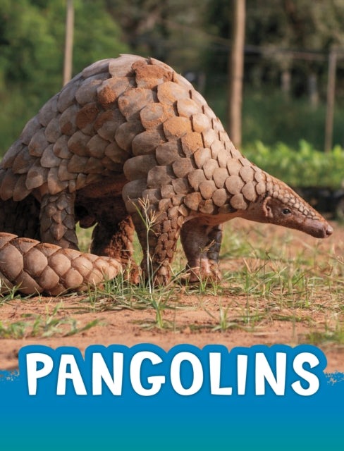 Book cover of: Pangolins. By: Jaclyn Jaycox