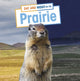 Book cover of: Day and Night on the Prairie. By: Ellen Labrecque