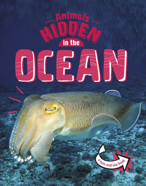 Book cover of: Animals Hidden in the Ocean. By: Jessica Rusick