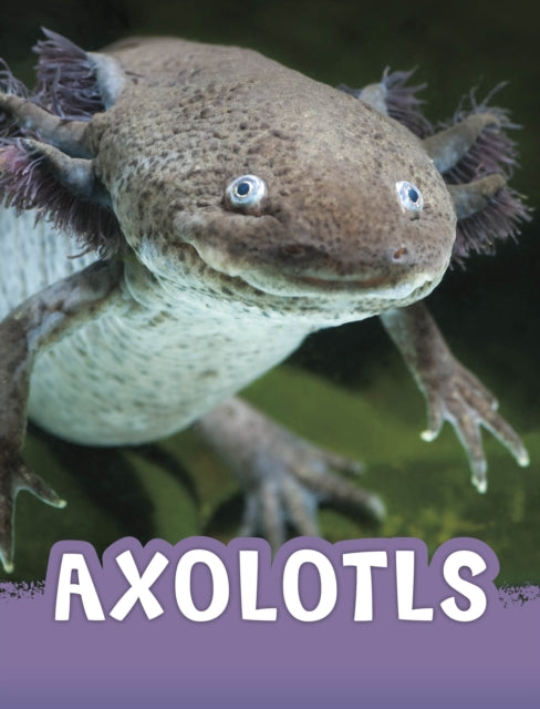 Book cover of: Axolotls. By: Jaclyn Jaycox