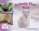 Book cover of: Animals That Hide. By: Kelly Gaffney