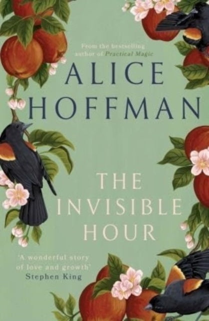 Book cover of: Invisible Hour
