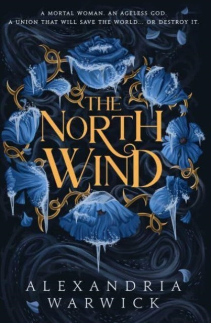 North Wind, The TikTok sensation! An enthralling enemies-to-lovers romantasy, the first in the Four Winds series 9781398533660 Alexandria Warwick