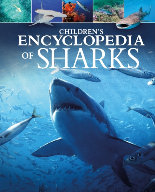 Book cover of: Children's Encyclopedia of Sharks. By: Claudia Martin
