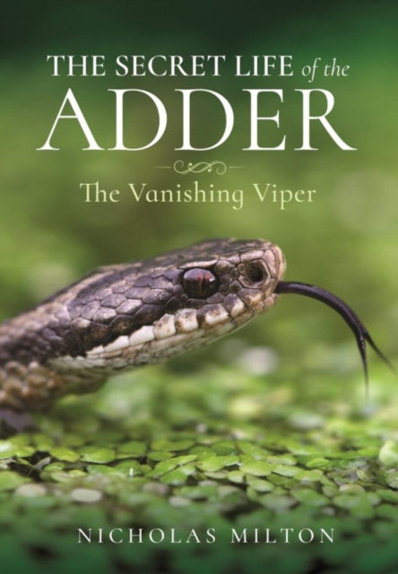 Book cover of: Secret Life of the Adder. By: Nicholas Milton