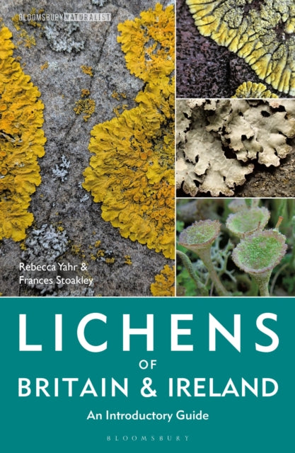 Book cover of: Lichens of Britain and Ireland