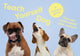 Book cover of: Teach Yourself Dog
