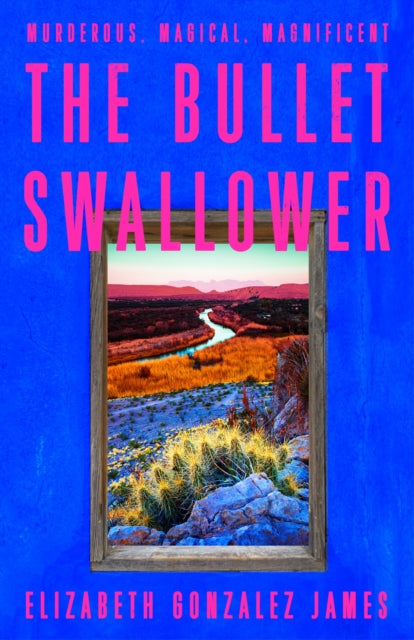 Bullet Swallower 9781399709064 Elizabeth Gonzalez James